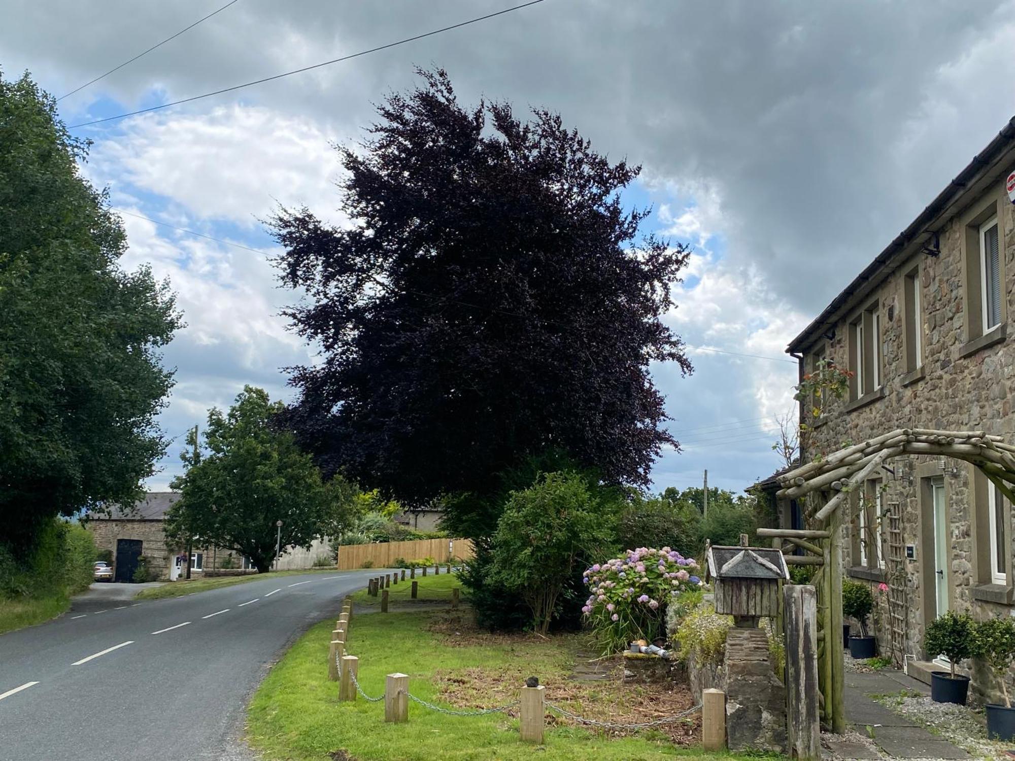 Chapel Cottage Clitheroe Road Уодингтън Екстериор снимка